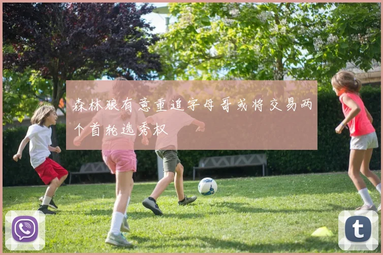 森林狼有意重追字母哥或将交易两个首轮选秀权