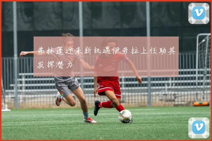 弗林蓬迎来新机遇伊劳拉上任助其发挥潜力