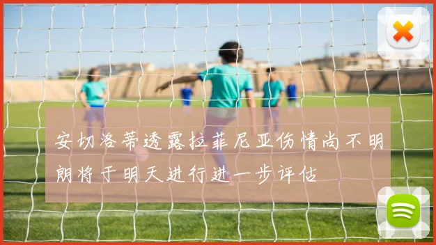 安切洛蒂透露拉菲尼亚伤情尚不明朗将于明天进行进一步评估